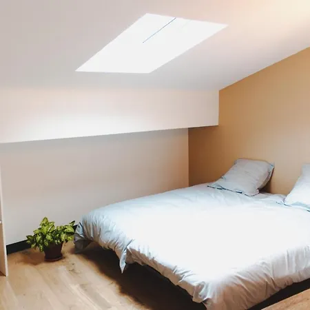 Maison Jardin Petanque, Meett, Airbus, Aeroport, Golf Βίλα Beauzelle