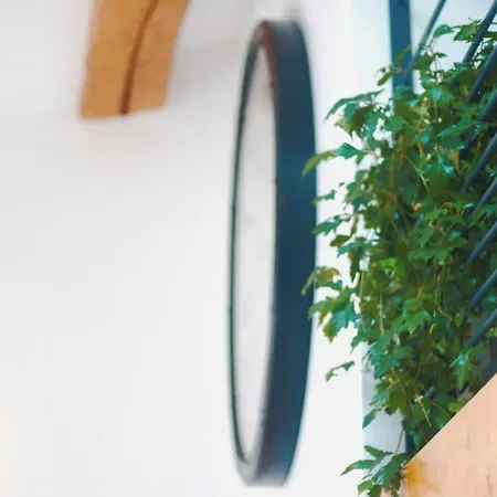 Maison Jardin Petanque, Meett, Airbus, Aeroport, Golf *