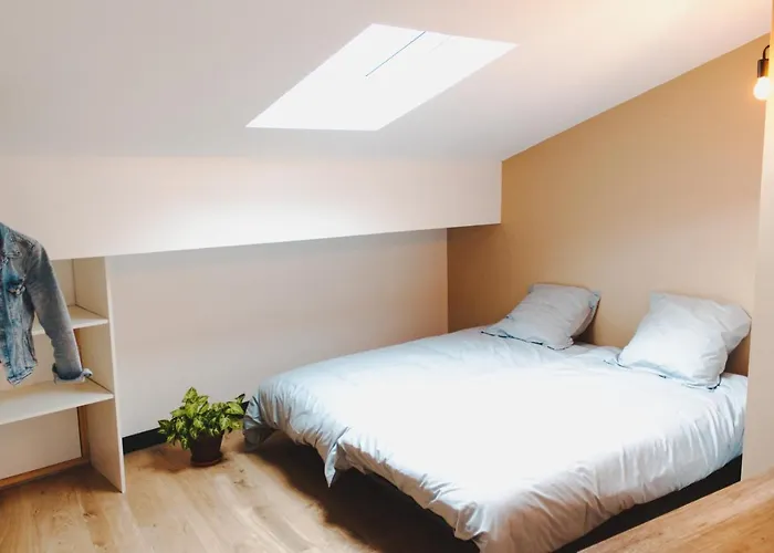 Maison Jardin Petanque, Meett, Airbus, Aeroport, Golf Villa Beauzelle