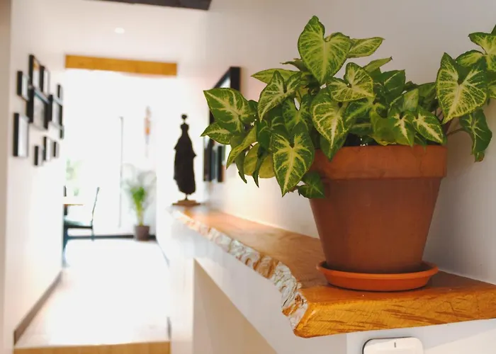 Maison Jardin Petanque, Meett, Airbus, Aeroport, Golf * Beauzelle