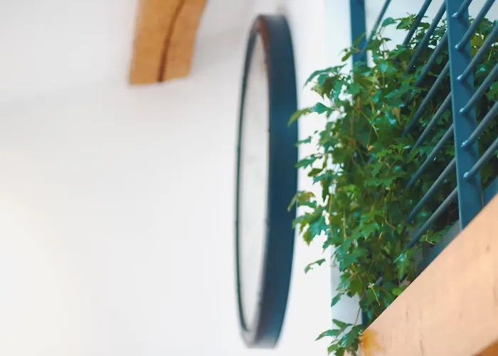 Maison Jardin Petanque, Meett, Airbus, Aeroport, Golf *